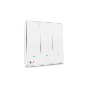 Công Tắc Thông Minh BLE CTC.BLE V1.03 Rạng Đông