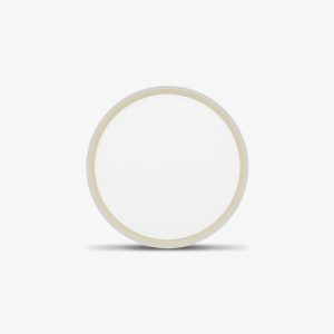 Đèn LED Ốp Trần Thông Minh LN28.BLE 400/40W Rạng Đông